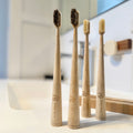 Natural fibre bamboo toothbrush